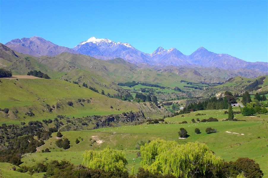 Photo of Molesworth Station, South Island, New Zealand by Riya Poojary