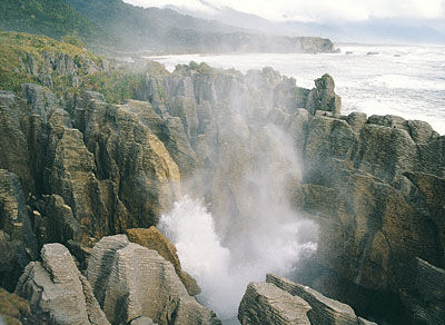 Photo of Punakaiki, West Coast, New Zealand by Riya Poojary