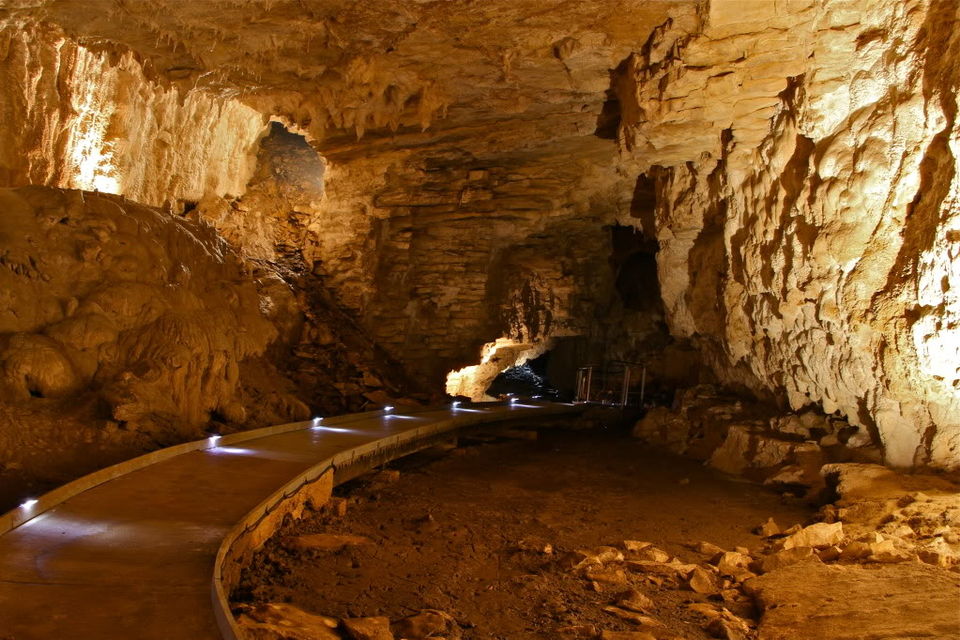 Photo of Waitomo Caves, Waikato, New Zealand by Riya Poojary
