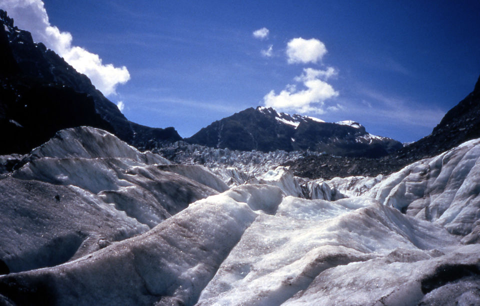 Photo of New Zealand Adventure: Best of South Island 2/5 by Riya Poojary