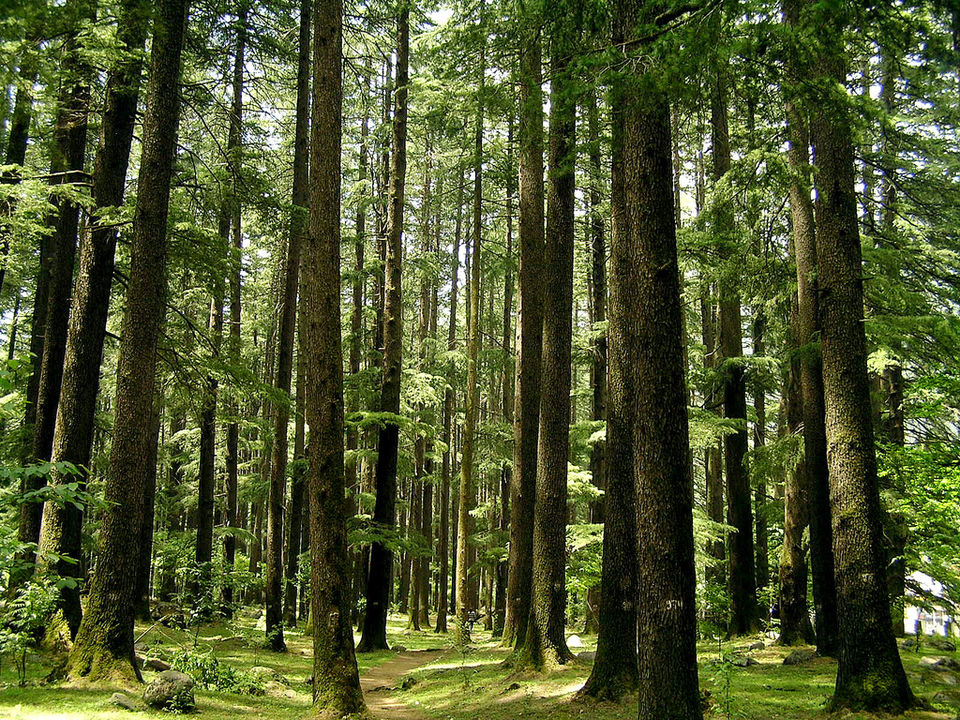 Photo of Tirthan Valley Is A Secluded Haven That Offers A Lot More Than You Know 2/7 by Riya Poojary