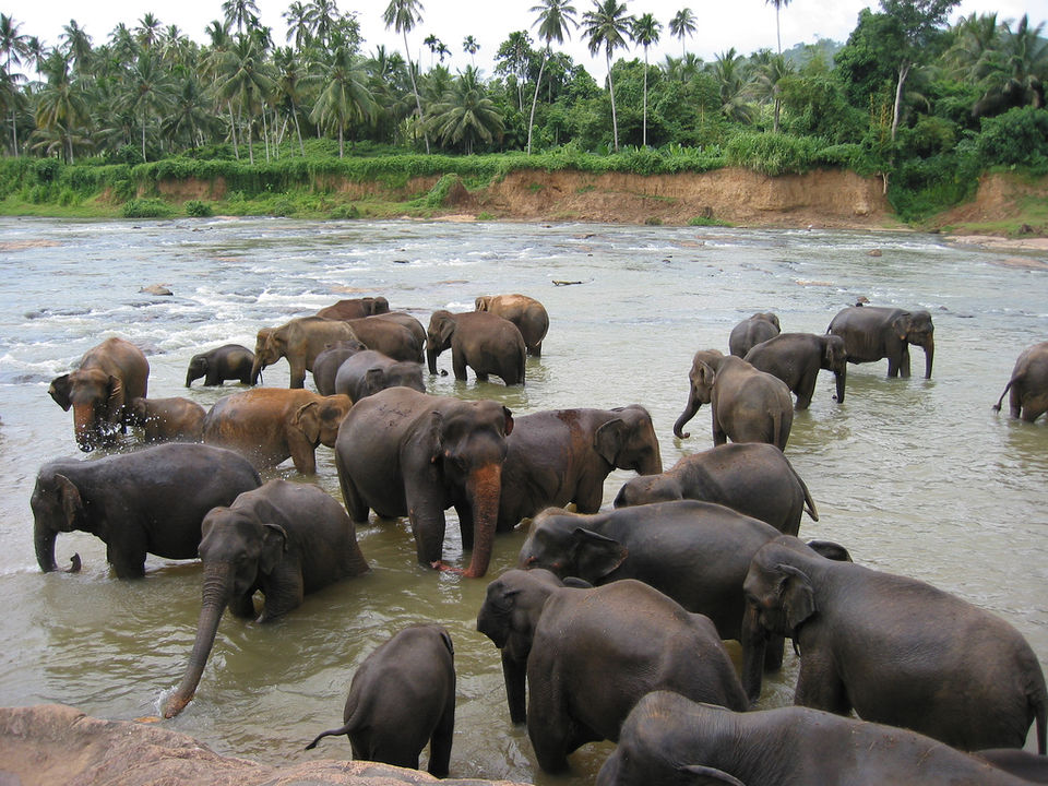 Photo of Backpacking in Sri Lanka 5/7 by Riya Poojary