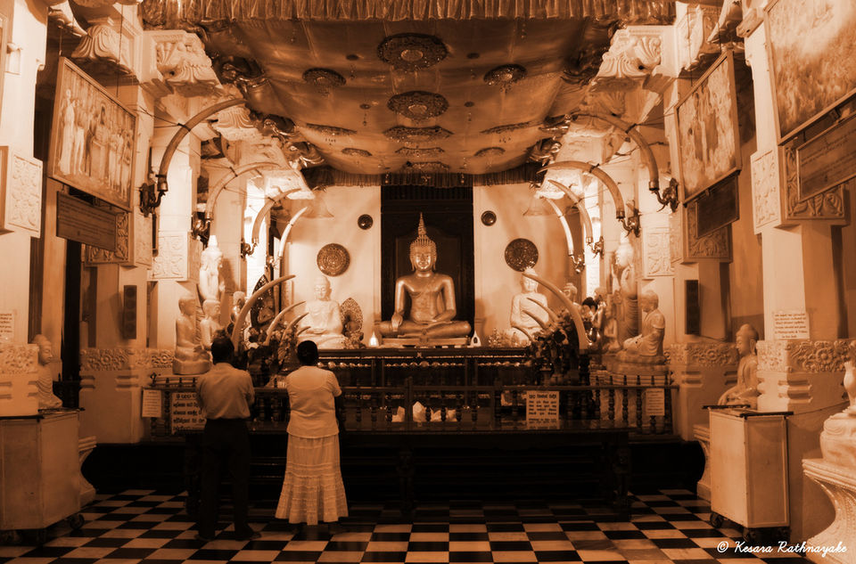 Photo of Backpacking in Sri Lanka 6/7 by Riya Poojary