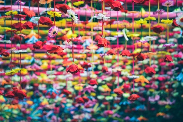 Photo of Why Hoteliers Need to Keep Their Focus on India – An Ever-growing Market 2/4 by Amie Ginendra