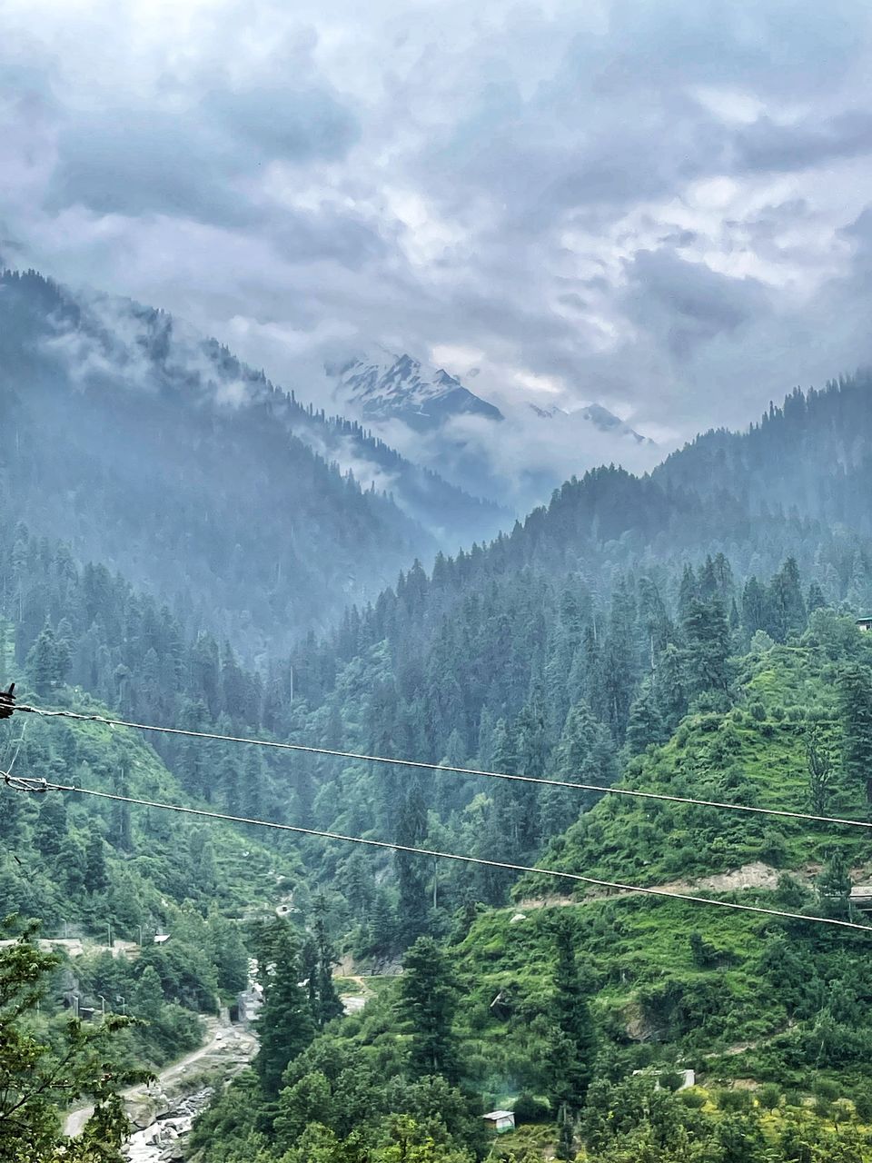 Photo of Chalal Trek Trail, Sosan, Himachal Pradesh, India by Amruta Bade