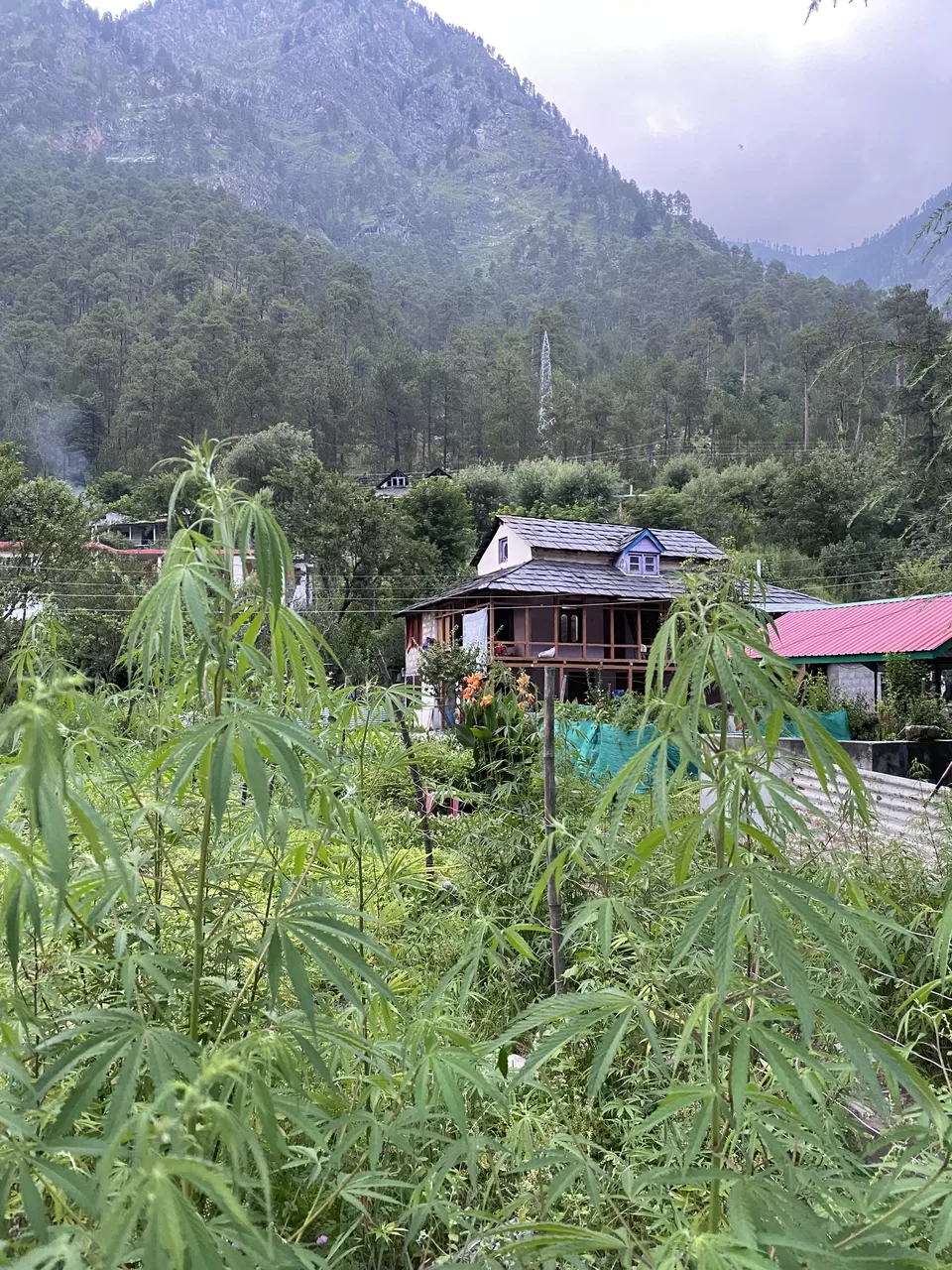 Photo of Chalal Trek Trail, Sosan, Himachal Pradesh, India by Amruta Bade