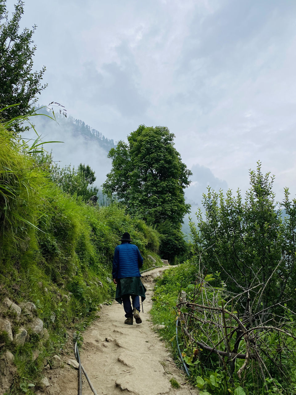 Photo of Kutla, Himachal Pradesh, India by Amruta Bade