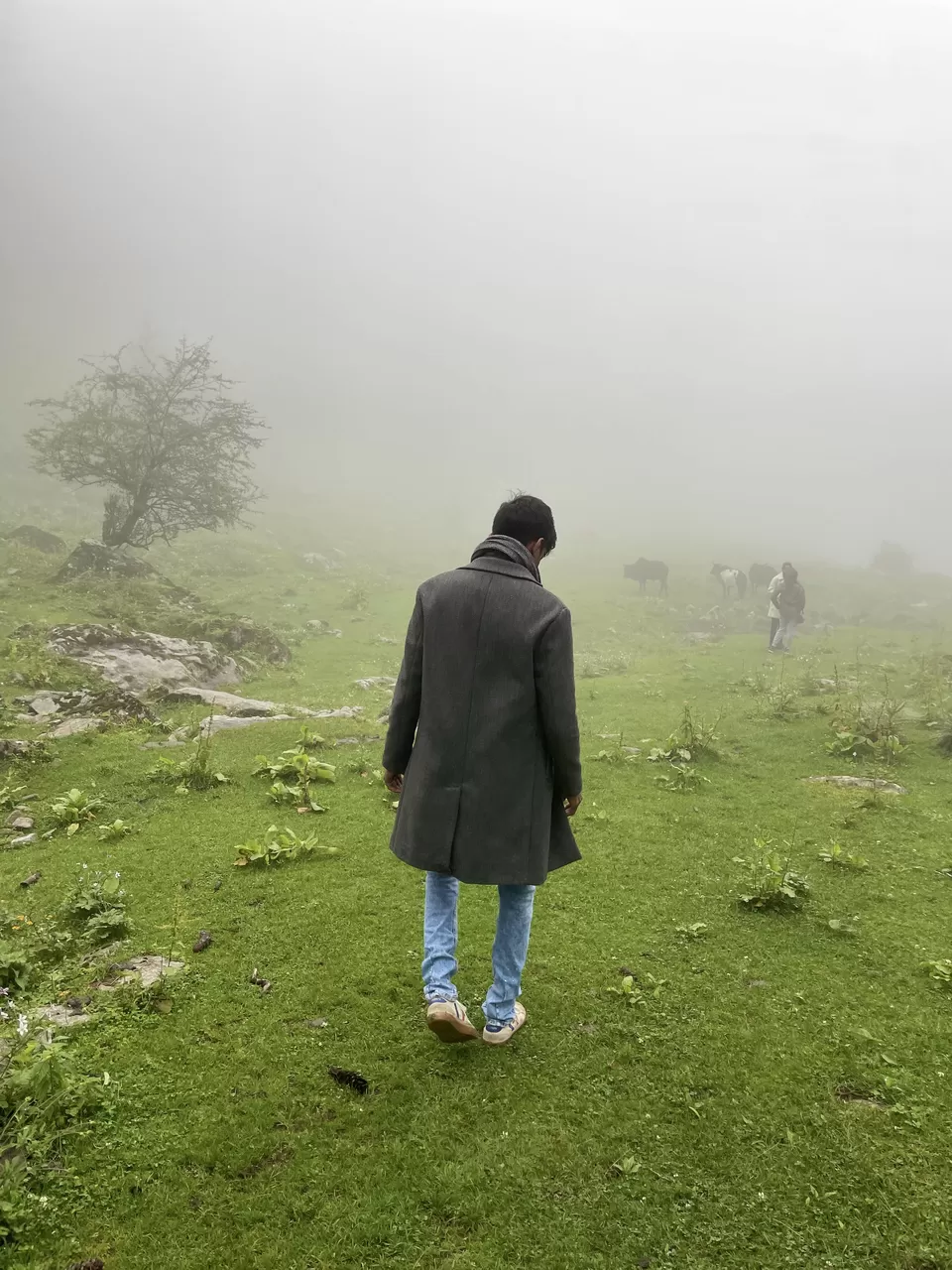 Photo of Kutla, Himachal Pradesh, India by Amruta Bade