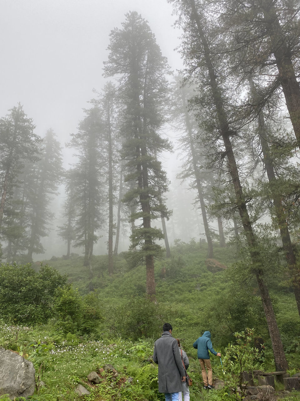 Photo of Kutla, Himachal Pradesh, India by Amruta Bade