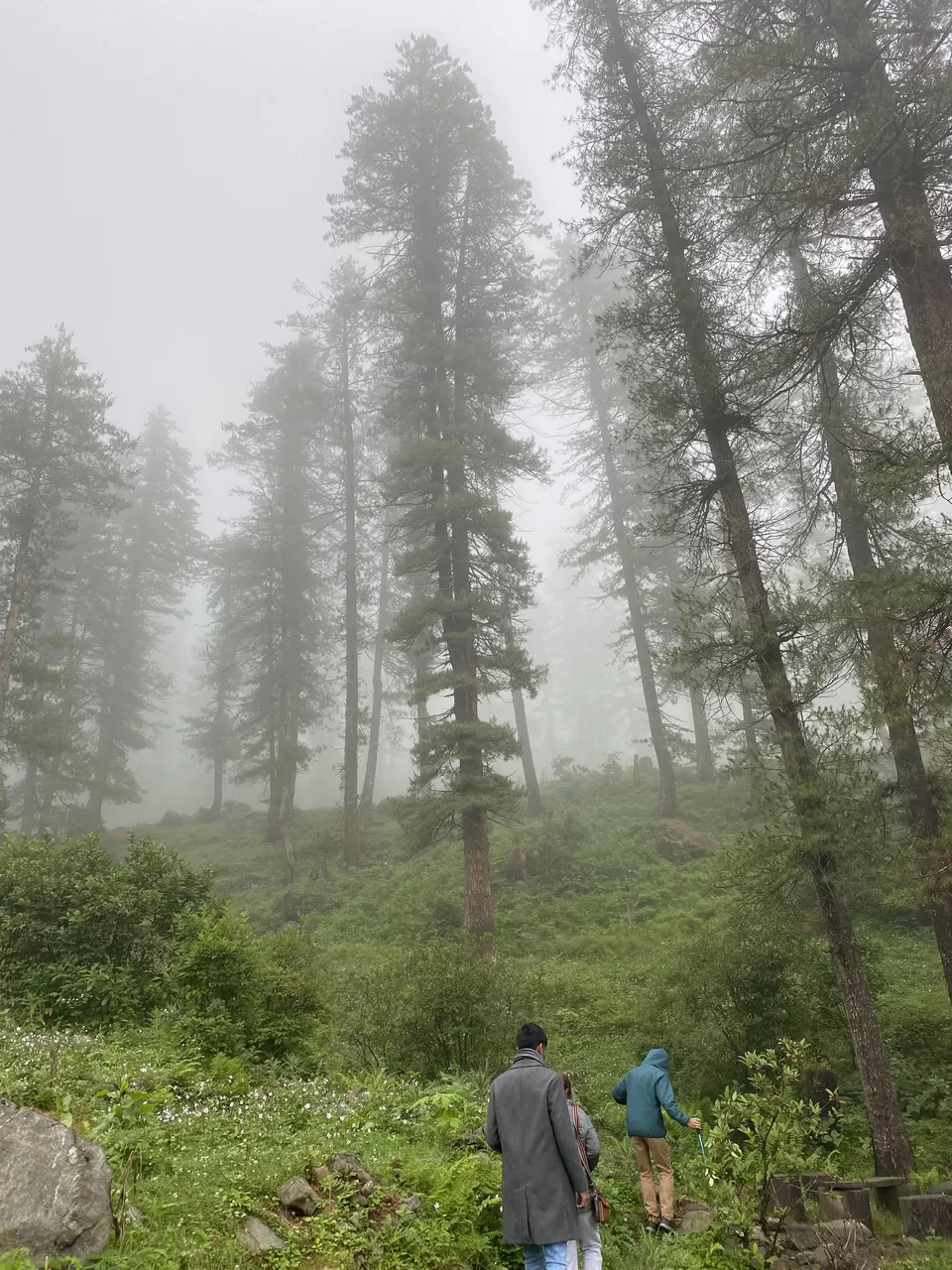 Photo of Kutla, Himachal Pradesh, India by Amruta Bade