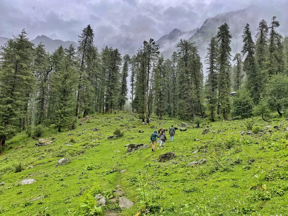 Photo of Kutla, Himachal Pradesh, India by Amruta Bade