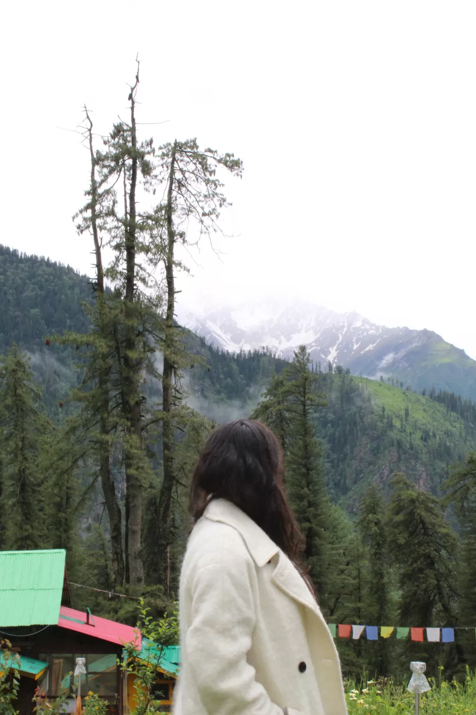 Photo of EXPLORE HIMACHAL TREKKER STYLE by Amruta Bade