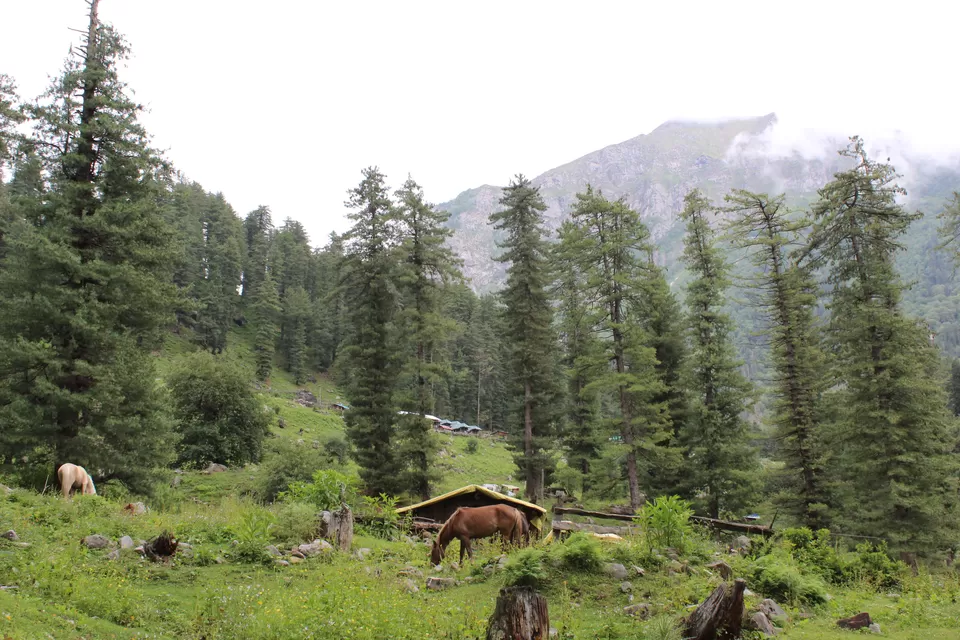 Photo of EXPLORE HIMACHAL TREKKER STYLE by Amruta Bade