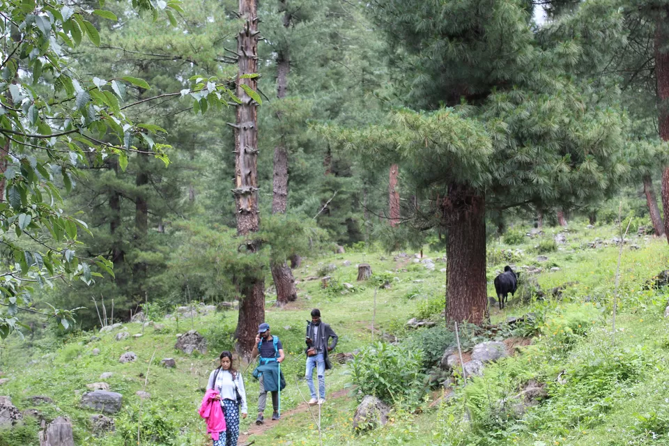 Photo of EXPLORE HIMACHAL TREKKER STYLE by Amruta Bade