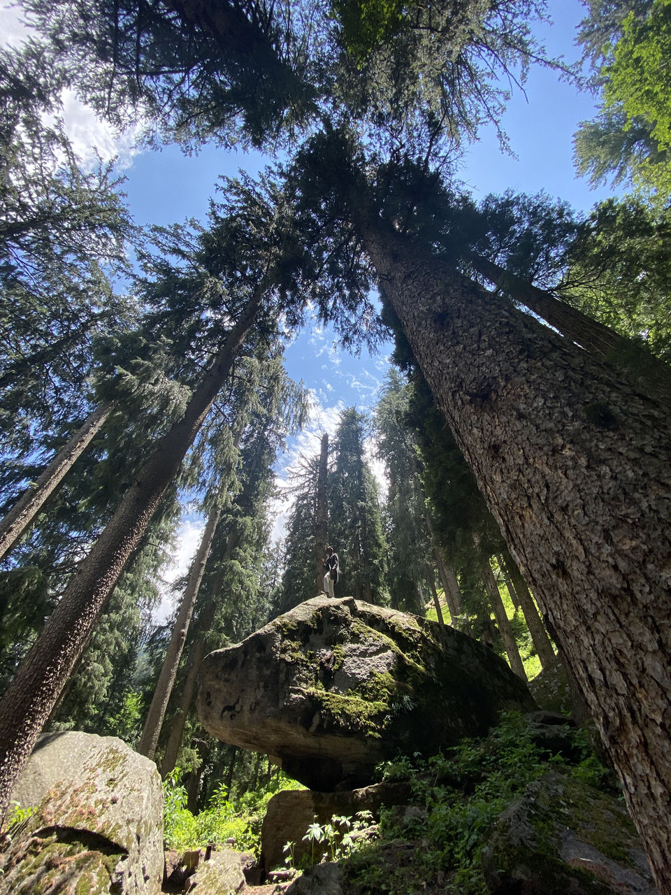 Photo of Kheerganga Trek, Khir Ganga, Himachal Pradesh, India by Amruta Bade