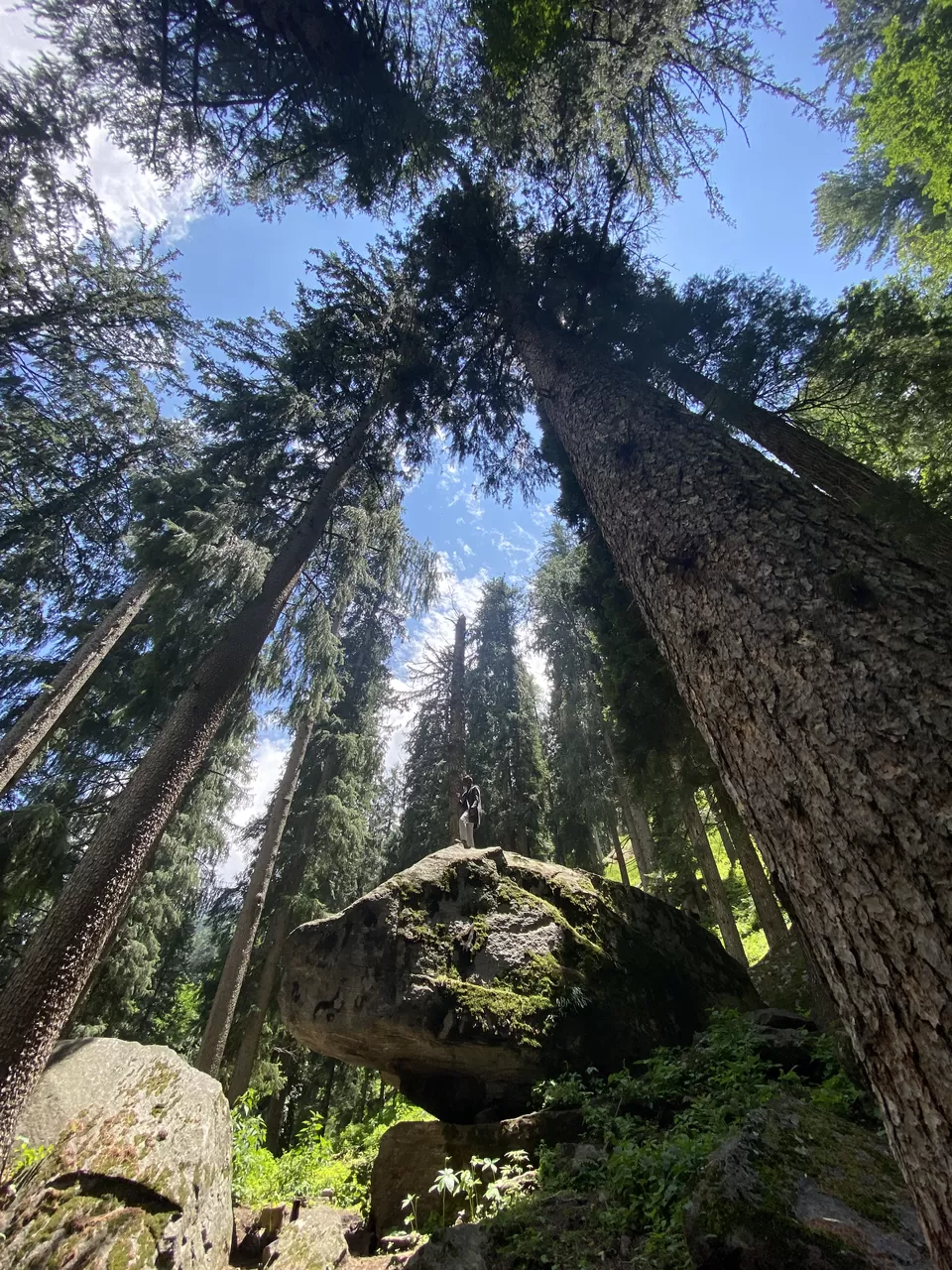 Photo of Kheerganga Trek, Khir Ganga, Himachal Pradesh, India by Amruta Bade