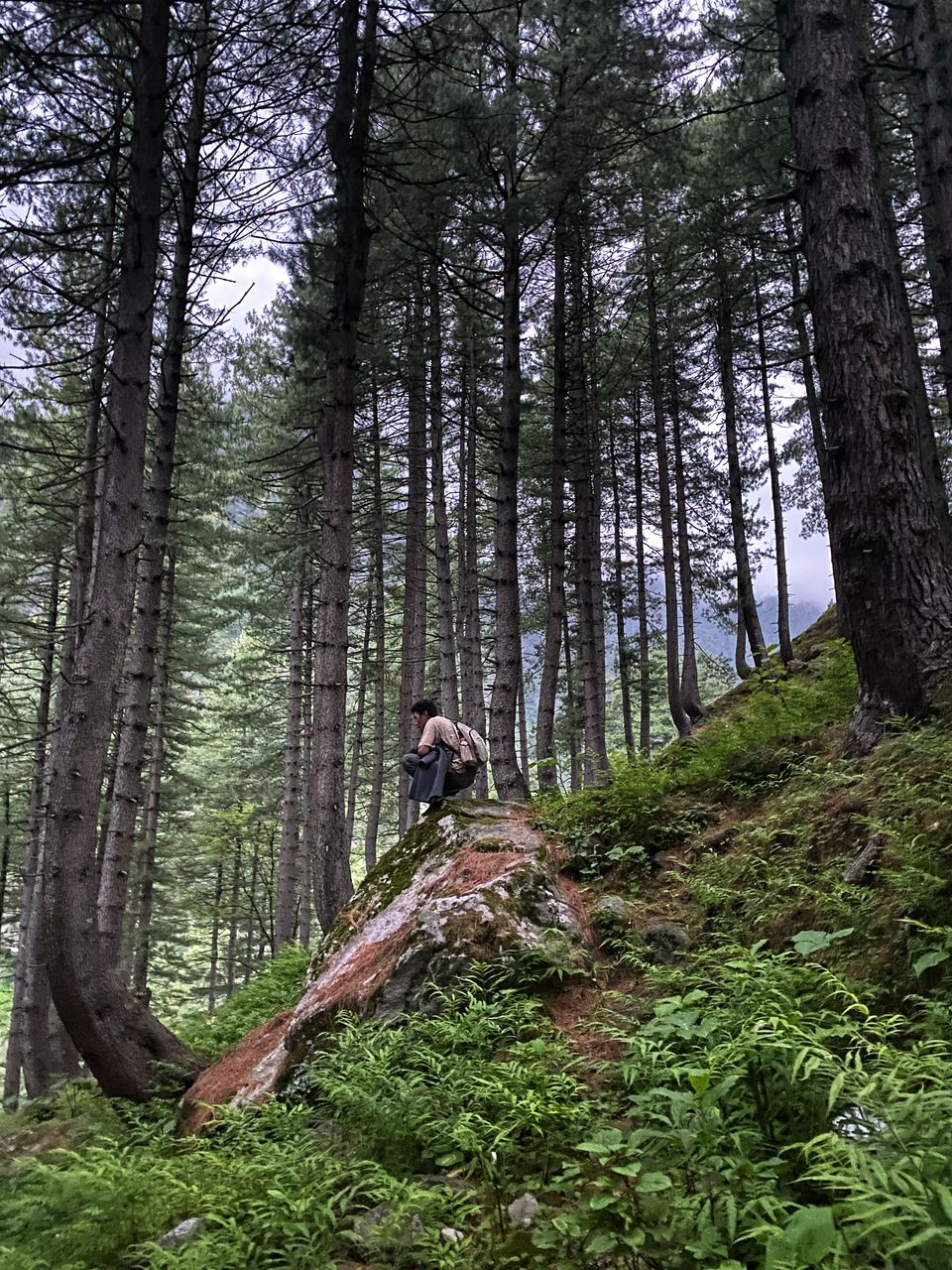 Photo of Kheerganga Trek, Khir Ganga, Himachal Pradesh, India by Amruta Bade