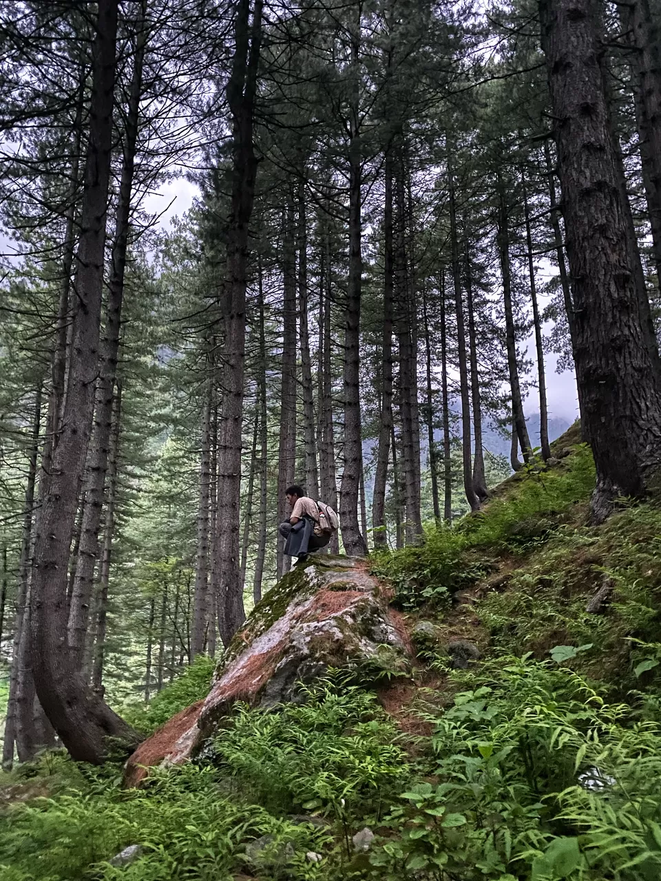 Photo of Kheerganga Trek, Khir Ganga, Himachal Pradesh, India by Amruta Bade