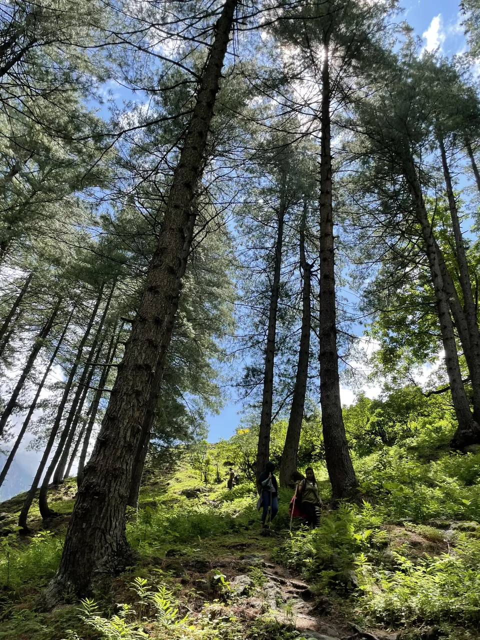 Photo of Kheerganga Trek, Khir Ganga, Himachal Pradesh, India by Amruta Bade