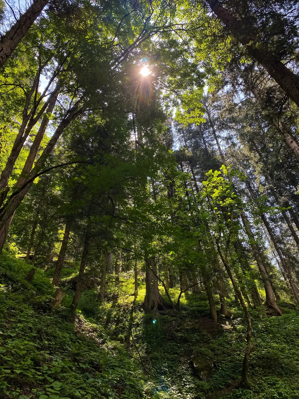 Photo of Kheerganga Trek, Khir Ganga, Himachal Pradesh, India by Amruta Bade