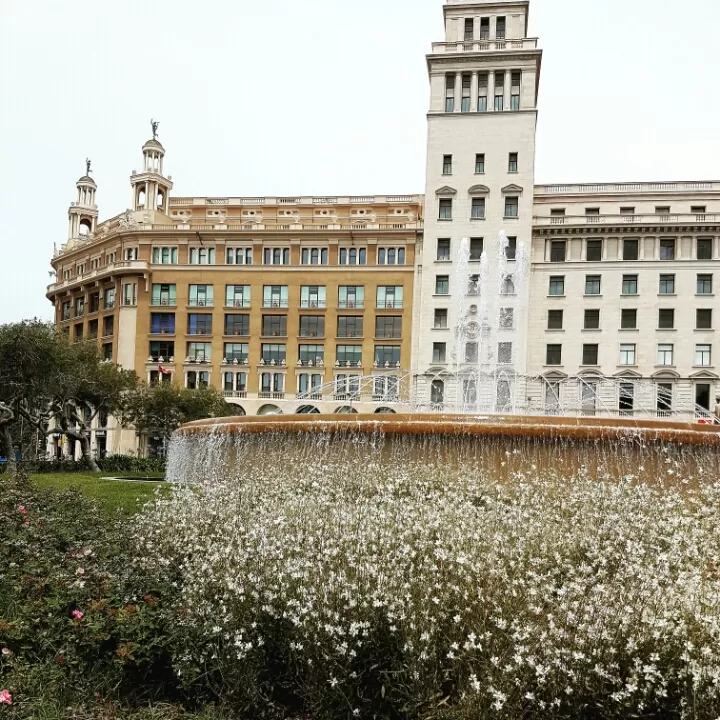 Photo of No Bar Barcelona by Just too Umezing