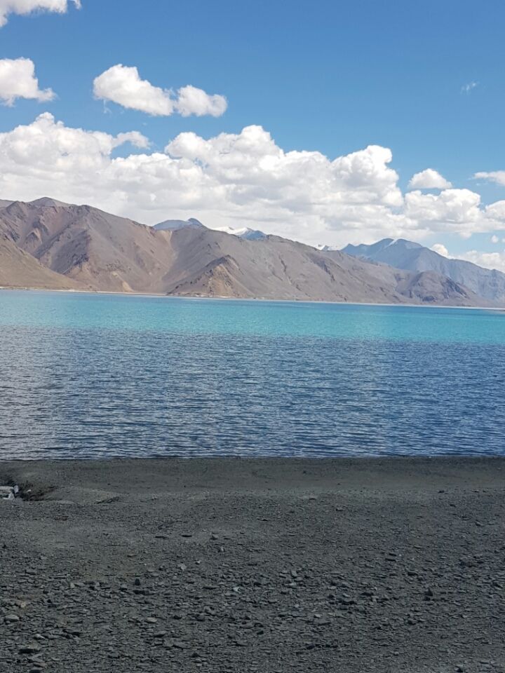 Photo of Leh, Jammu and Kashmir 194201 by Just too Umezing