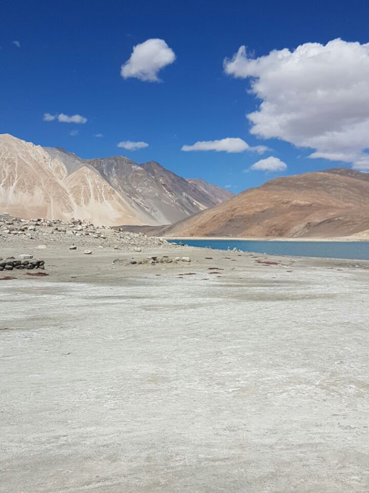 Photo of Leh, Jammu and Kashmir 194201 by Just too Umezing