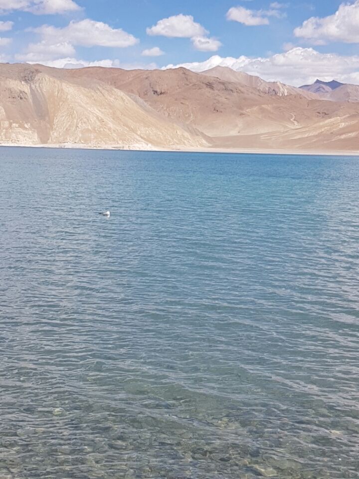 Photo of Leh, Jammu and Kashmir 194201 by Just too Umezing