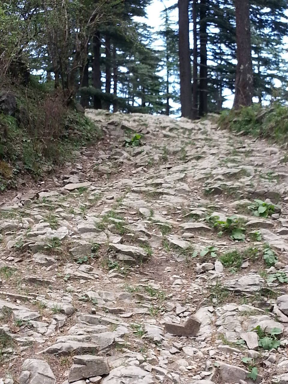 Photo of Shimla Diary 27th - 30th Sept. 2/3 by Just too Umezing