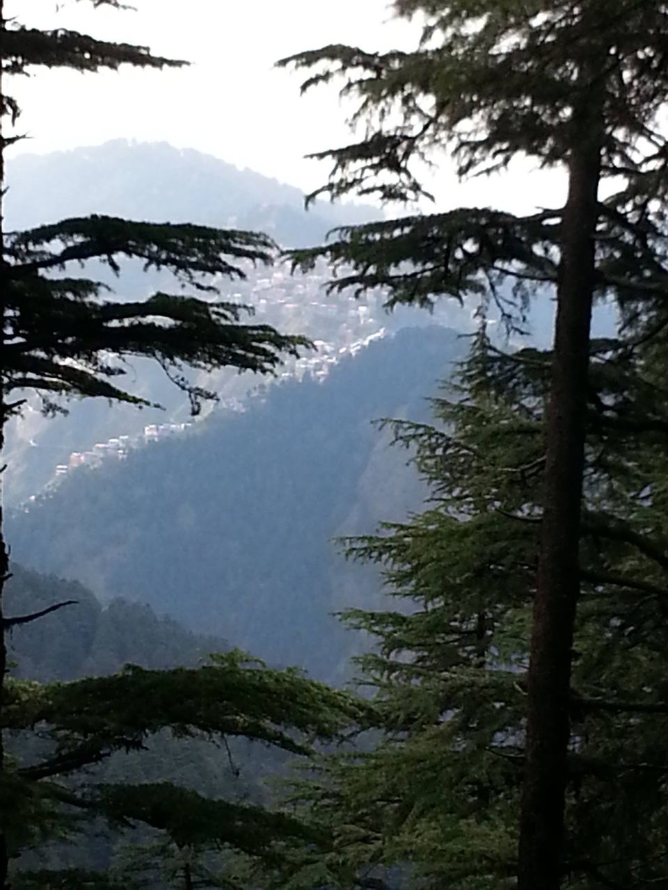 Photo of Shimla Diary 27th - 30th Sept. 3/3 by Just too Umezing