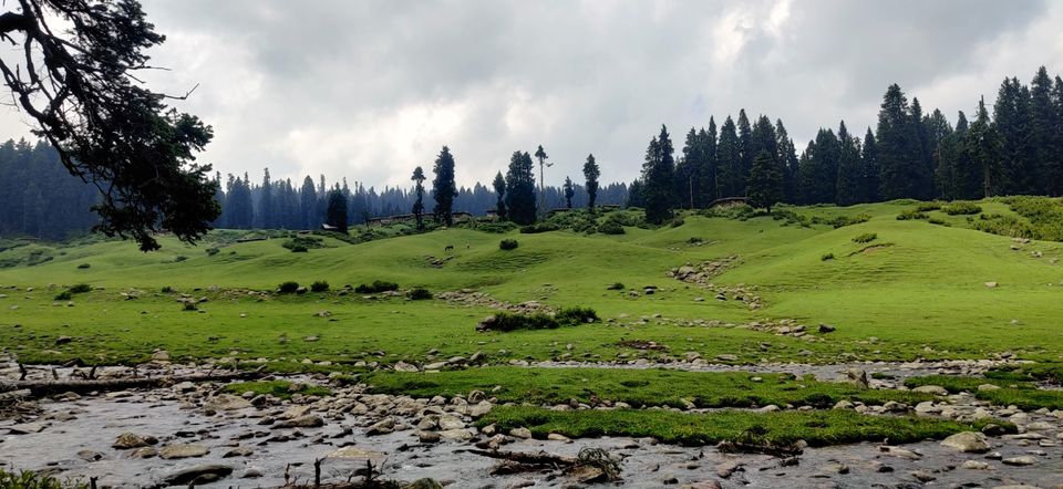 Photo of Yousmarg- A lost Kashmiri Jannat by Swati Goyal