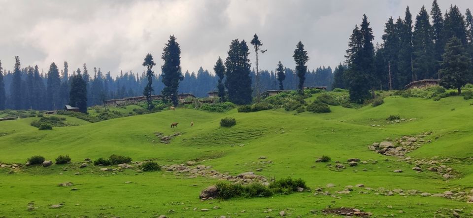 Photo of Yousmarg- A lost Kashmiri Jannat by Swati Goyal