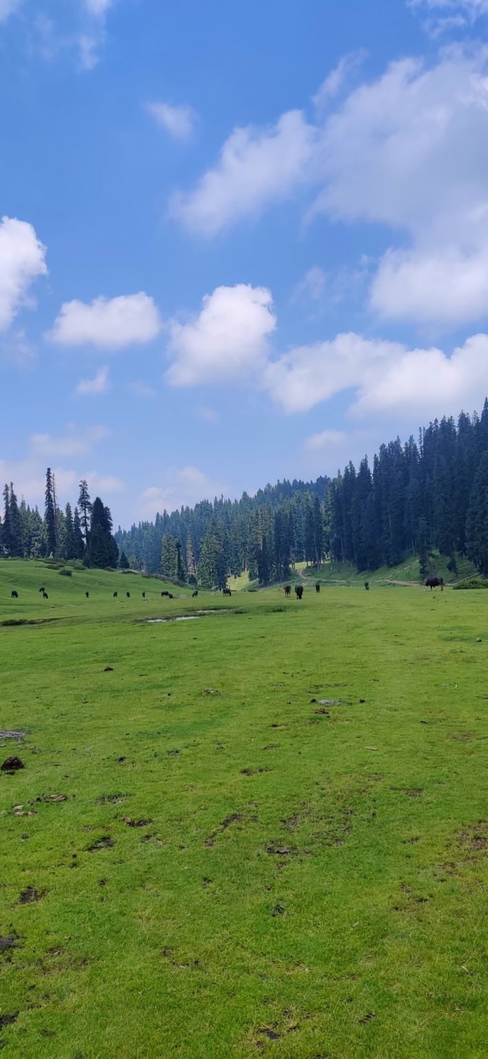 Photo of Yousmarg- A lost Kashmiri Jannat by Swati Goyal