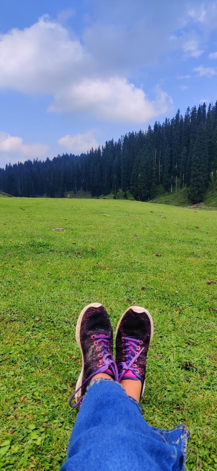 Photo of Yousmarg- A lost Kashmiri Jannat by Swati Goyal
