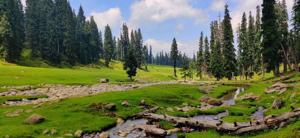 Photo of Yousmarg- A lost Kashmiri Jannat by Swati Goyal