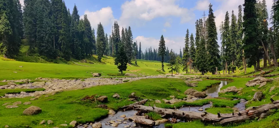 Photo of Yousmarg- A lost Kashmiri Jannat by Swati Goyal