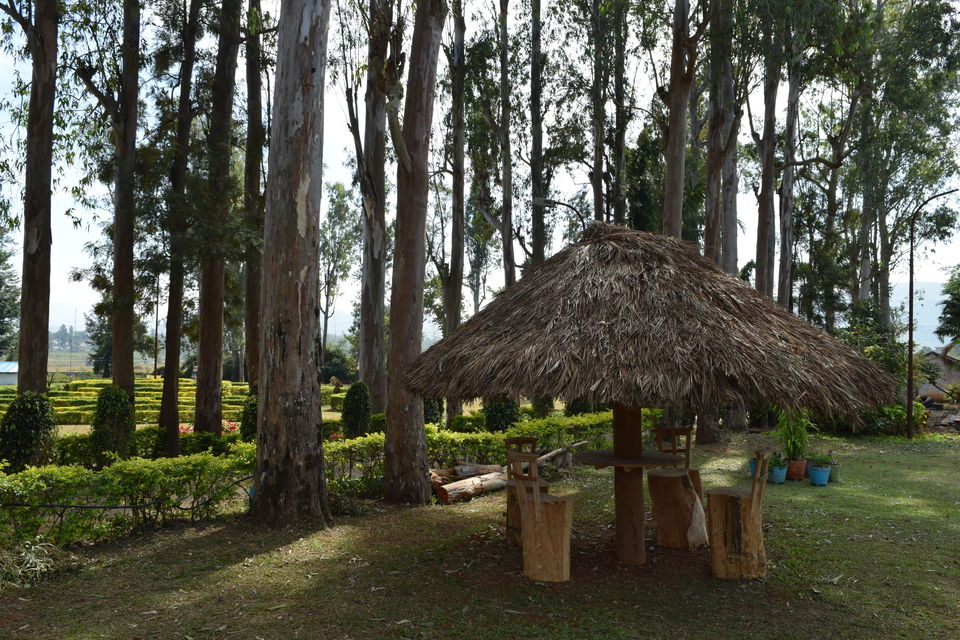 Photo of Padmapuram Garden, Araku, Andhra Pradesh, India by Sarabjeet Singh