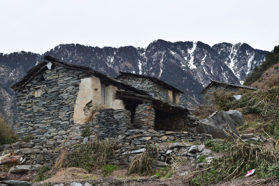 Photo of Triund: A winter trek into wilderness by Sarabjeet Singh