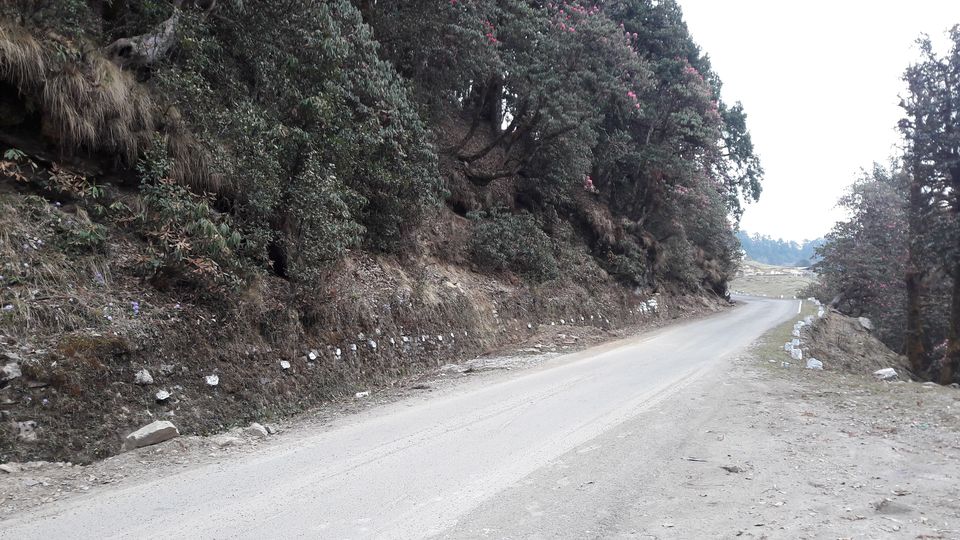 Photo of Journey is more beautiful than the destination. 5/5 by Destiny.