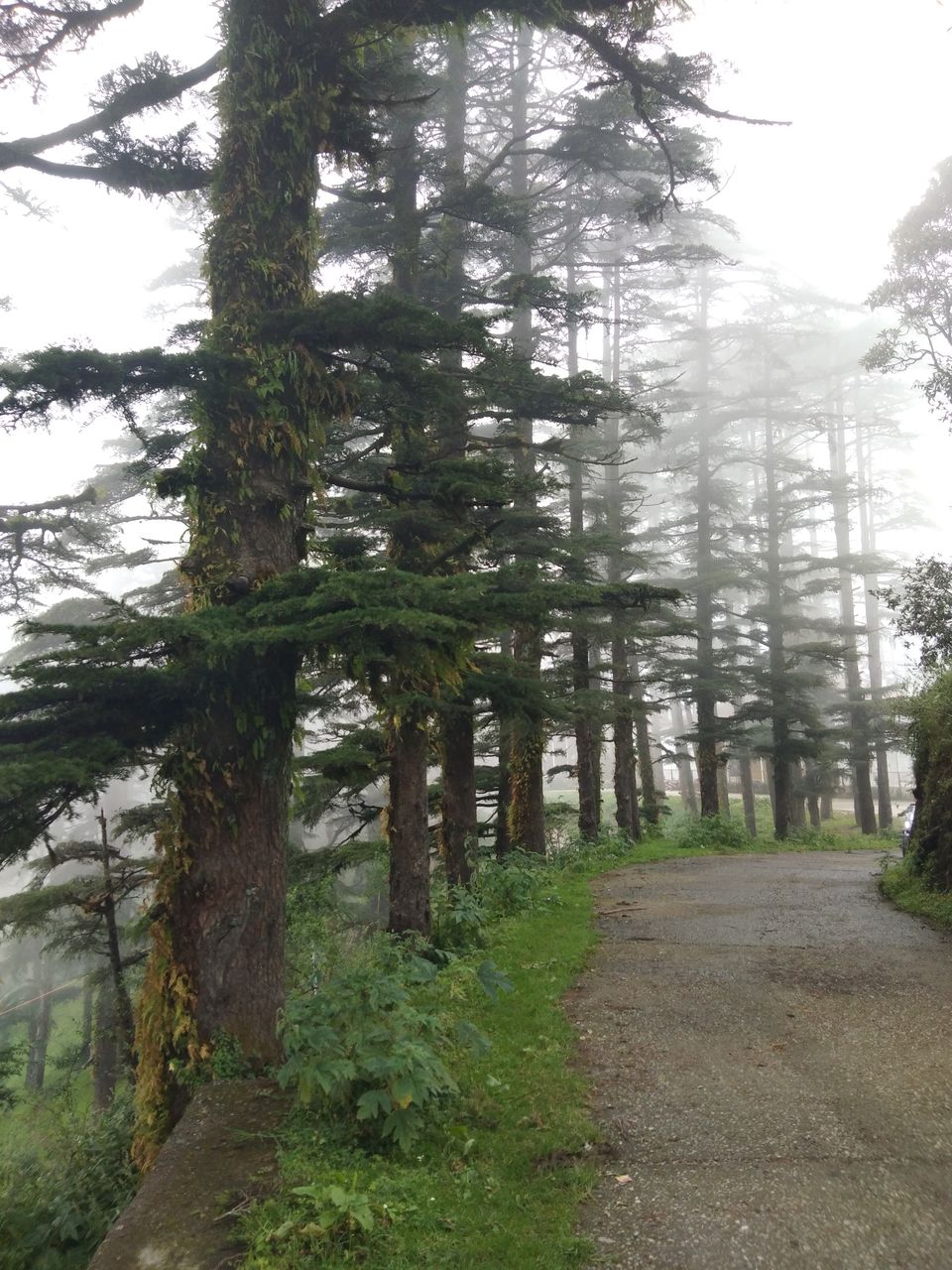 Photo of A weekend trip to chakrata 9/12 by Destiny.