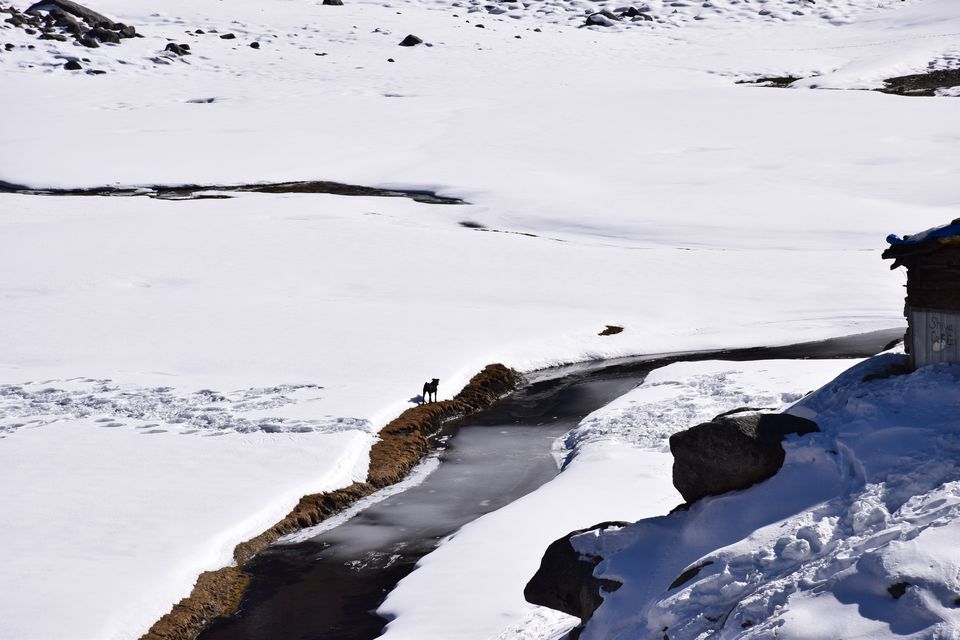 Photo of Kareri Lake, Kareri, Himachal Pradesh by Destiny.