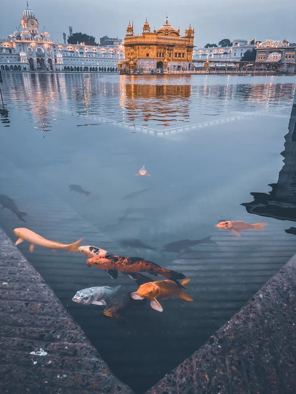Photo of Golden Temple, Golden Temple Way, Jallan Wala Bagh, Katra Ahluwalia, Amritsar, Punjab, India by 2wheeled Paradise