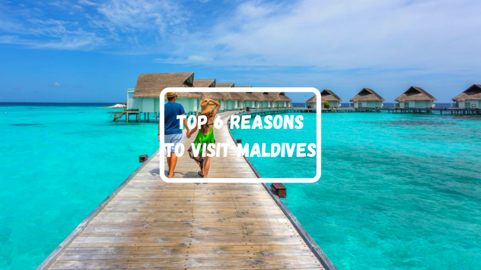 Photo of Top 6 reasons to visit Maldives! 1/7 by Heena Kothari
