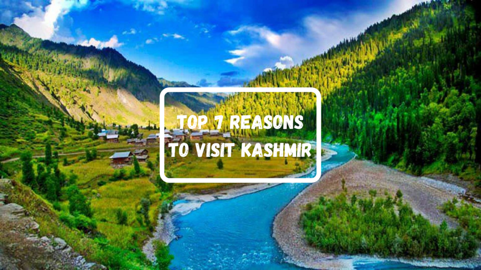 Photo of Top 7 reasons to visit Kashmir! 1/8 by Heena Kothari