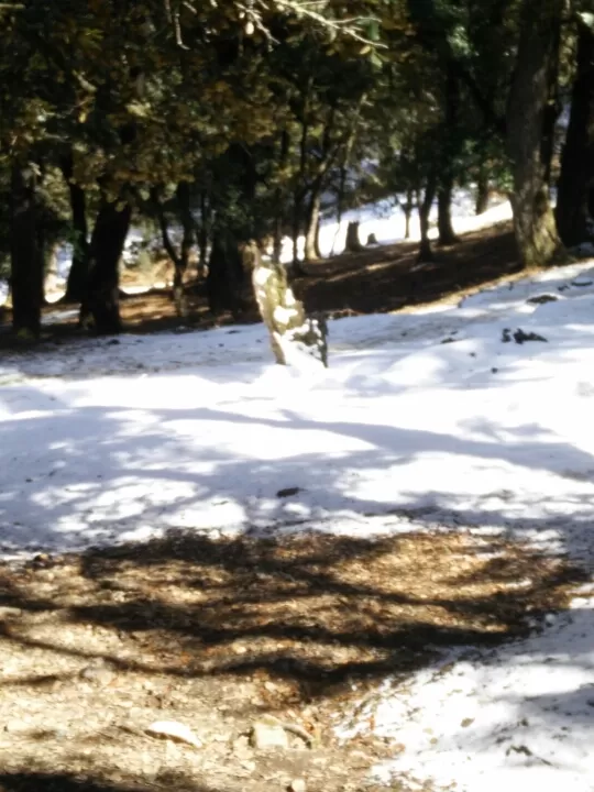 Photo of Mana Pass, Uttarakhand, India by keerthi