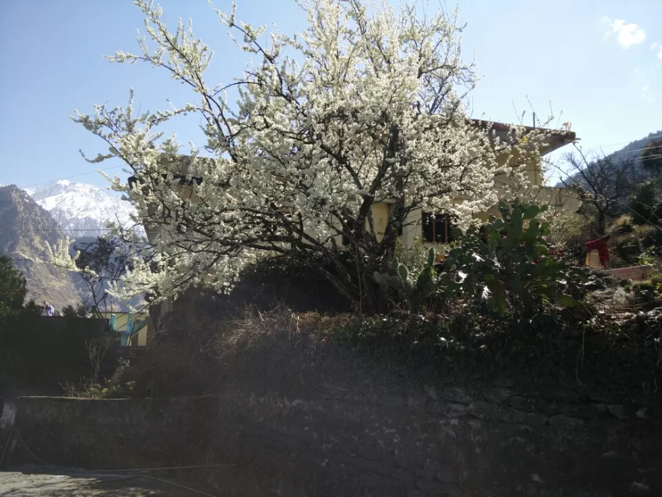 Photo of Mana Pass, Uttarakhand, India by keerthi