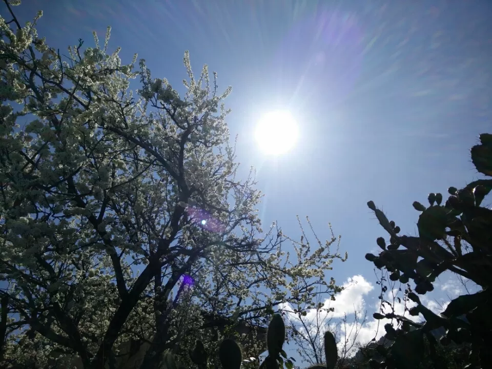 Photo of Mana Pass, Uttarakhand, India by keerthi