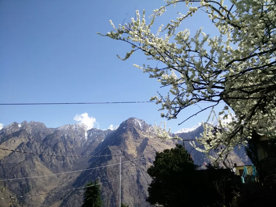 Photo of Mana Pass, Uttarakhand, India by keerthi