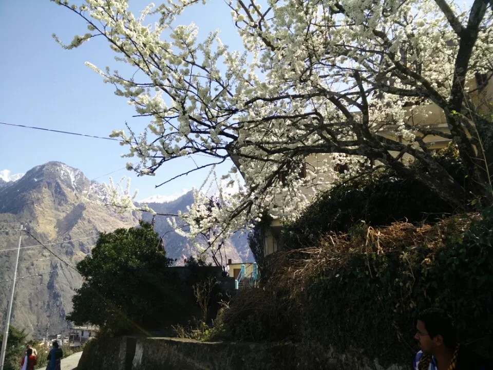 Photo of Mana Pass, Uttarakhand, India by keerthi