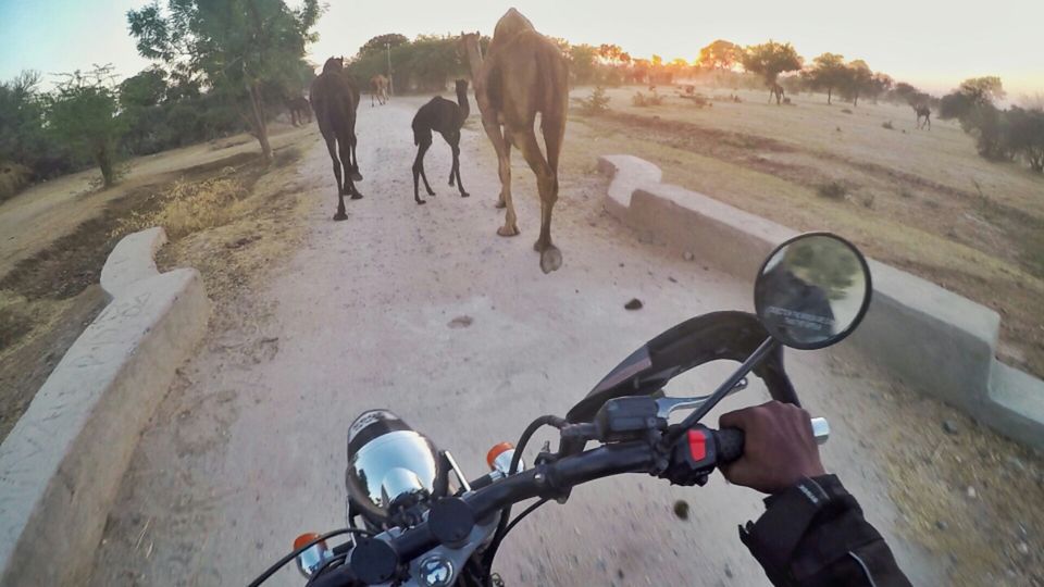 Photo of Royal Enfield Tour of Rajasthan - Day 1 by C S Prasanjit Kumar